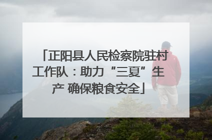 正阳县人民检察院驻村工作队：助力“三夏”生产 确保粮食安全