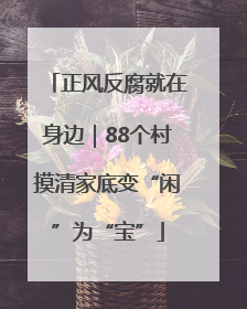 正风反腐就在身边｜88个村摸清家底变“闲”为“宝”