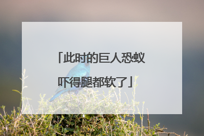 此时的巨人恐蚁吓得腿都软了