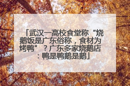 武汉一高校食堂称“烧鹅饭是广东俗称，食材为烤鸭”？广东多家烧鹅店：鸭是鸭鹅是鹅