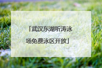 武汉东湖听涛泳场免费泳区开放