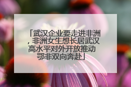 武汉企业要走进非洲，非洲女生想长居武汉 高水平对外开放推动鄂非双向奔赴