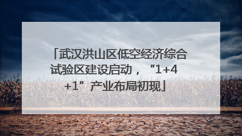 武汉洪山区低空经济综合试验区建设启动，“1+4+1”产业布局初现