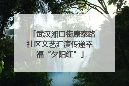 武汉湘口街康泰路社区文艺汇演传递幸福“夕阳红”