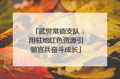 武警常德支队：用驻地红色资源引领官兵奋斗成长