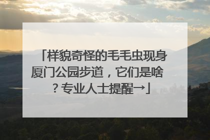 样貌奇怪的毛毛虫现身厦门公园步道，它们是啥？专业人士提醒→