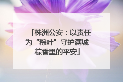 株洲公安：以责任为“粽叶”守护满城粽香里的平安