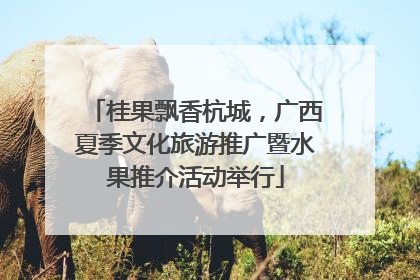 桂果飘香杭城，广西夏季文化旅游推广暨水果推介活动举行