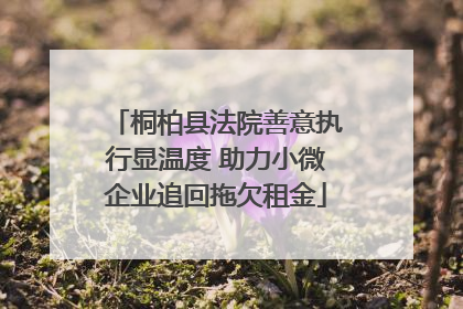 桐柏县法院善意执行显温度 助力小微企业追回拖欠租金