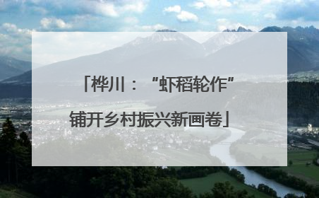 桦川：“虾稻轮作”铺开乡村振兴新画卷