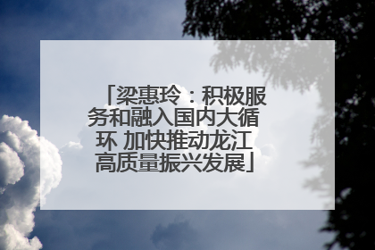梁惠玲：积极服务和融入国内大循环 加快推动龙江高质量振兴发展