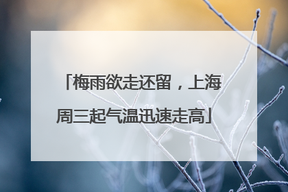 梅雨欲走还留，上海周三起气温迅速走高