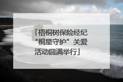 梧桐树保险经纪“桐星守护”关爱活动圆满举行