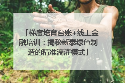 梯度培育台账+线上金融培训：揭秘新泰绿色制造的精准滴灌模式