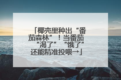 椰壳里种出“番茄森林”！当番茄“渴了”“饿了”还能精准投喂→