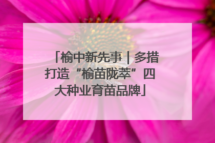 榆中新先事｜多措打造“榆苗陇萃”四大种业育苗品牌