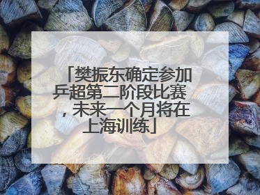 樊振东确定参加乒超第二阶段比赛，未来一个月将在上海训练