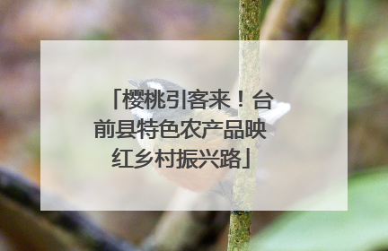 樱桃引客来！台前县特色农产品映红乡村振兴路
