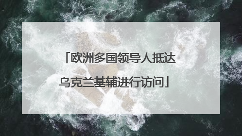 欧洲多国领导人抵达乌克兰基辅进行访问