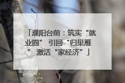 濮阳台前：筑实“就业圈” 引回“归巢雁” 激活“家经济”