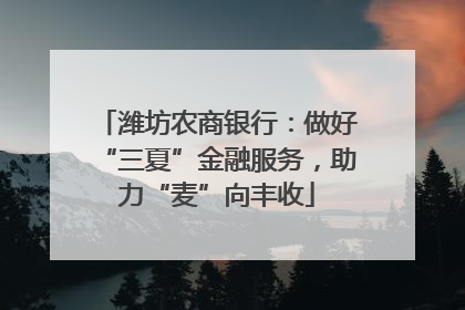 潍坊农商银行：做好“三夏”金融服务，助力“麦”向丰收