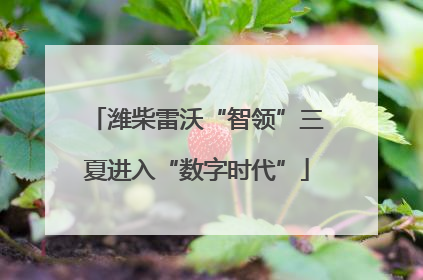 潍柴雷沃“智领”三夏进入“数字时代”