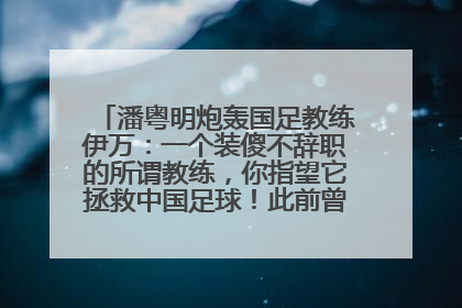 潘粤明炮轰国足教练伊万：一个装傻不辞职的所谓教练，你指望它拯救中国足球！此前曾多次发文评价国足