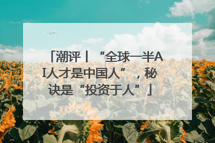 潮评丨“全球一半AI人才是中国人”，秘诀是“投资于人”