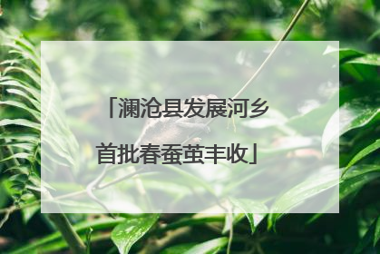 澜沧县发展河乡首批春蚕茧丰收