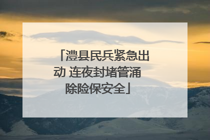 澧县民兵紧急出动 连夜封堵管涌除险保安全