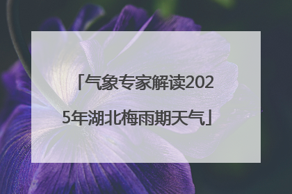气象专家解读2025年湖北梅雨期天气