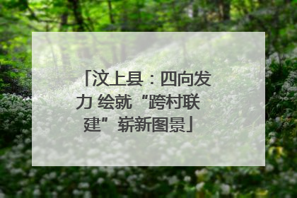 汶上县：四向发力 绘就“跨村联建”崭新图景