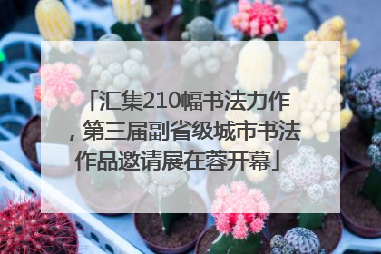 汇集210幅书法力作，第三届副省级城市书法作品邀请展在蓉开幕