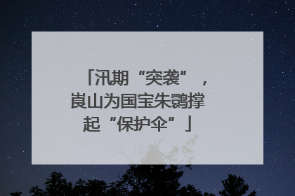 汛期“突袭”，崀山为国宝朱鹮撑起“保护伞”