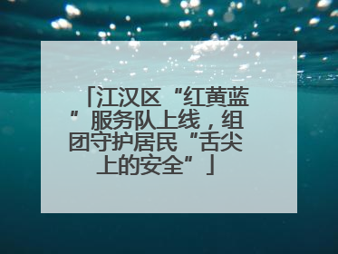 江汉区“红黄蓝”服务队上线，组团守护居民“舌尖上的安全”