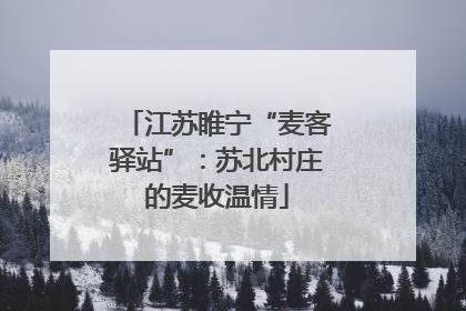 江苏睢宁“麦客驿站”：苏北村庄的麦收温情