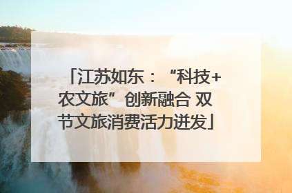 江苏如东：“科技+农文旅”创新融合 双节文旅消费活力迸发