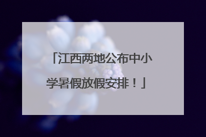 江西两地公布中小学暑假放假安排！