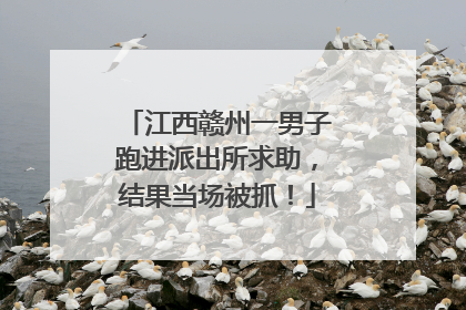 江西赣州一男子跑进派出所求助，结果当场被抓！