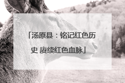 汤原县：铭记红色历史 赓续红色血脉