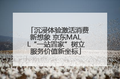 沉浸体验激活消费新想象 京东MALL“一站置家”树立服务价值新坐标