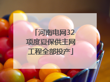 河南电网32项度夏保供主网工程全部投产
