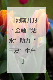 河南开封：金融“活水”助力“三夏”生产