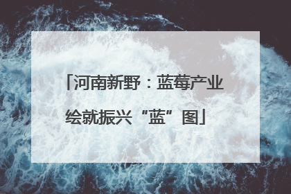 河南新野：蓝莓产业绘就振兴“蓝”图