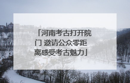 河南考古打开院门 邀请公众零距离感受考古魅力