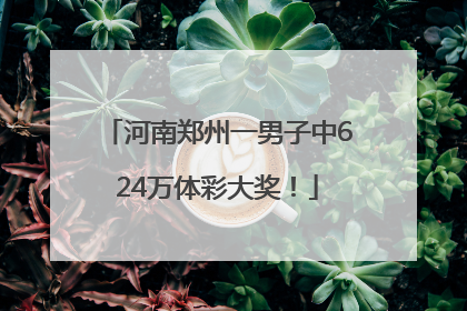 河南郑州一男子中624万体彩大奖！