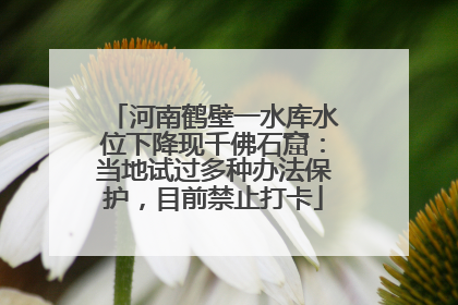 河南鹤壁一水库水位下降现千佛石窟：当地试过多种办法保护，目前禁止打卡