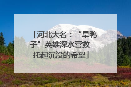 河北大名：“旱鸭子”英雄深水营救 托起沉没的希望