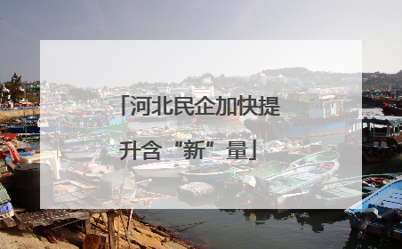河北民企加快提升含“新”量