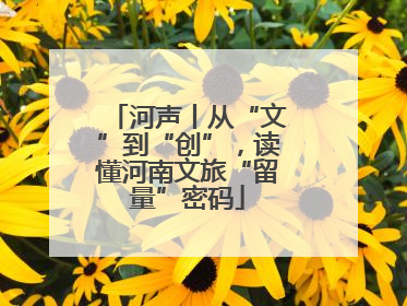 河声丨从“文”到“创”，读懂河南文旅“留量”密码